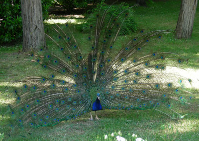 madrid-2010-20