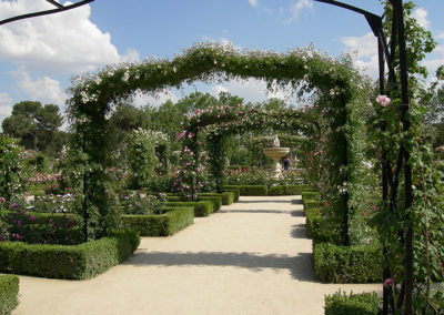 madrid-2010-64