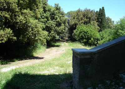 nazzano-39