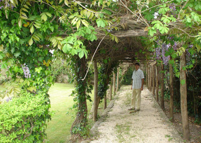 nazzano