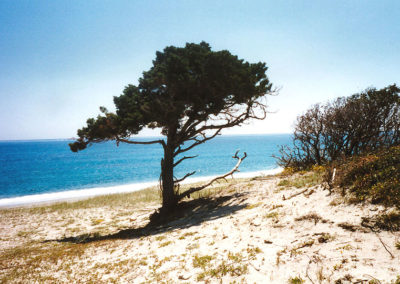 sardegna-62