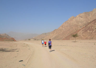 sharmarathon-2010-14