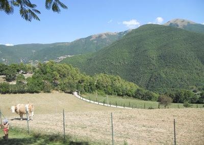 vallo-di-nera-1-20