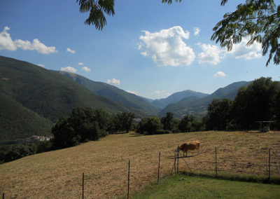vallo-di-nera-1-21