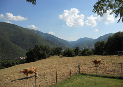 vallo-di-nera-1-22