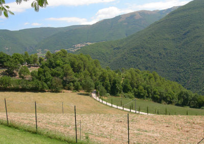 vallo-di-nera-216